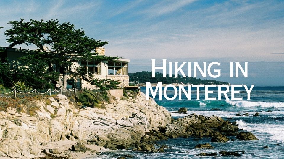 Hiking in Monterey